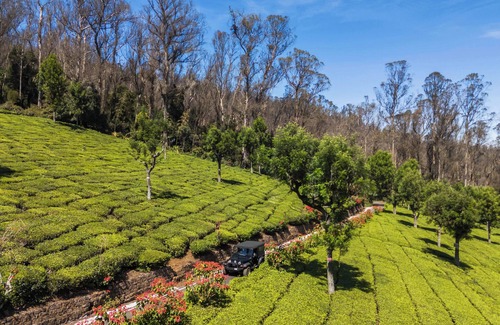 Attadi Villa | Cloud walk