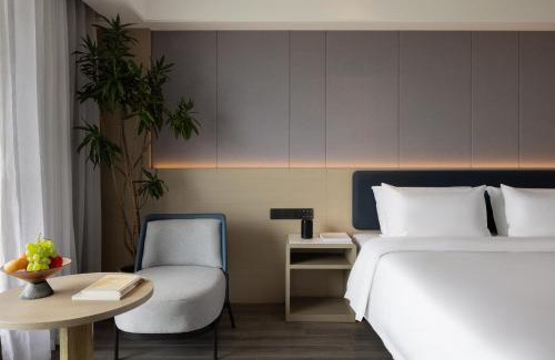 Zhengzhou Hotel | BlueVisual Hotel Zhengzhou Airport