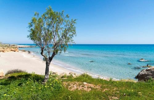 Xerokampos Apartment | Coastal Charm-Getaway to Artichoke's Seaside Oasis