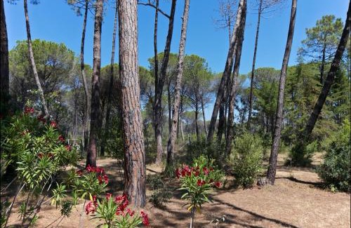 Principina a Mare House | Coastal Stay Near Uccellina Park