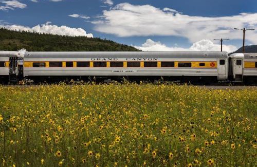 Williams House | Cobalt Cabin Gateway to Grand Canyon Sedona & More