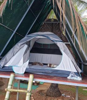 Devgad Other | Coco Palm Eco Resort
