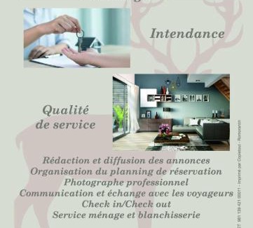 Romorantin-Lanthenay Apartment | Cocon Naturel en Sologne!