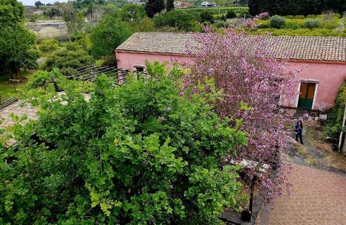Giarre Apartment | Codavolpe giardino di tea