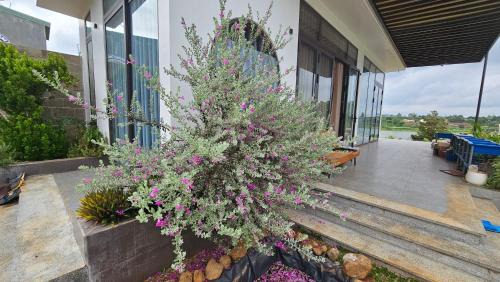 Pleiku House | Cola House