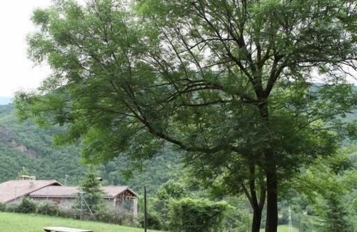 Buira House | Colonias Verge Blanca
