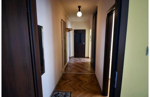 Stalowa Wola Apartment | Color 24 - Złoty Punkt