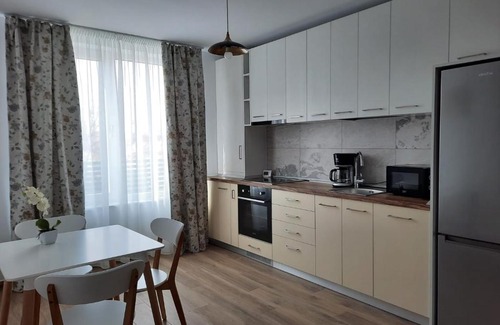 Timisoara Apartment | Cometa Apartment