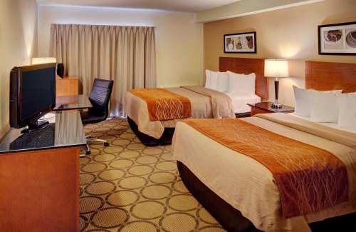 Fredericton Hotel | Comfort Inn