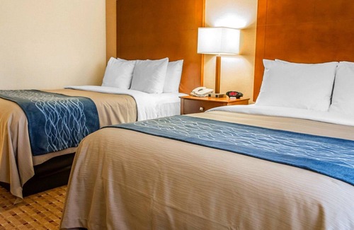 Franklin Hotel | Comfort Inn & Suites Franklin East