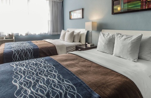 Levittown Hotel | Comfort Inn & Suites Levittown