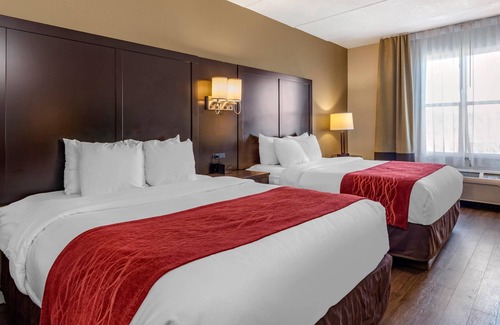 Lithia Springs Hotel | Comfort Inn & Suites near Six Flags