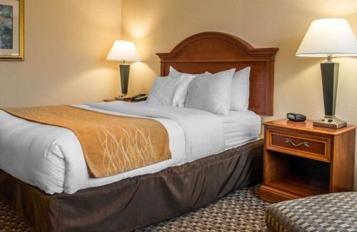 O'Hara Township Hotel | Comfort Inn & Suites - Pittsburgh North