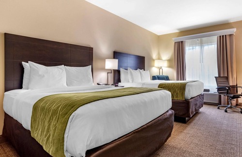 Scott Hotel | Comfort Inn & Suites Scott-West Lafayette