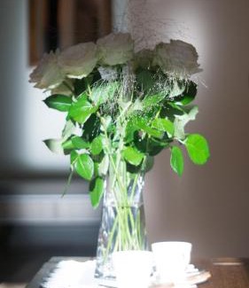 West Pomeranian Voivodeship Apartment | Comfort Studio Central