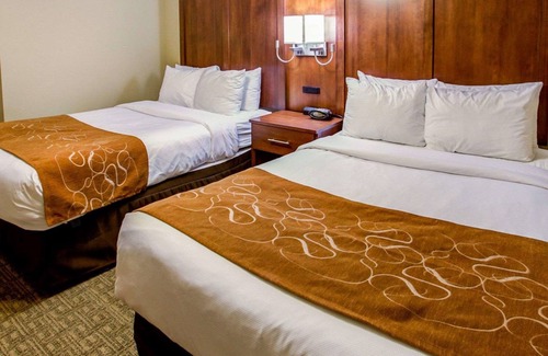 Georgetown Hotel | Comfort Suites Georgetown