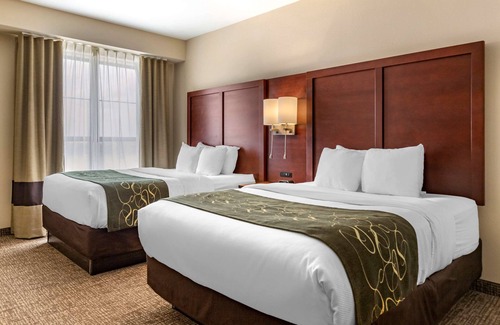 Kyle Hotel | Comfort Suites Kyle