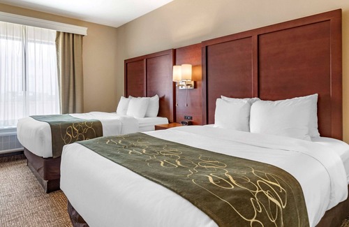 Kyle Hotel | Comfort Suites Kyle