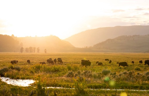Silver Gate Cabin | Comfortable Cabin next to Yellowstone National Park