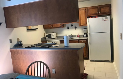 Wilmington House | Comfortable Midtown Cottage in Quiet Neighborhood