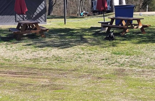 Scraper Cabin | Comfy Cabin golf, fish, Illinois river, ATV, Kayak