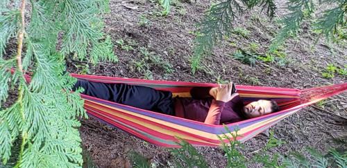 Kent Bed & Breakfast | Comfy, Cozy BnB Kent WA "Private Bathroom"