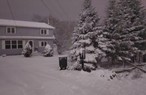 Goodwood Apartment | Comfy Rooms & Studio in 3Bed Home