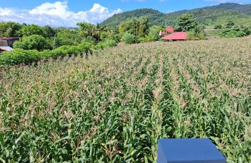 Hu'u Bed & Breakfast | Compass Homestay