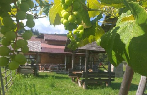 Ceahlau House | Complex de pensiuni si casute -Debarcader Ceahlau