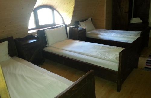 Ruscova House | Conacul Drahneilor