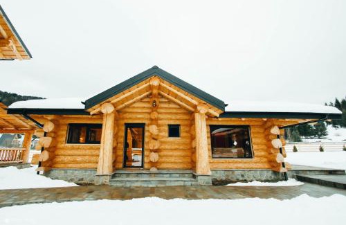 Dorna Candrenilor House | Conacul IOSIF