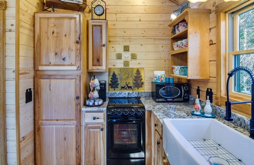 Green Valley Cottage | Conifer Log Cabin Rental w/Private Hot Tub & Pond