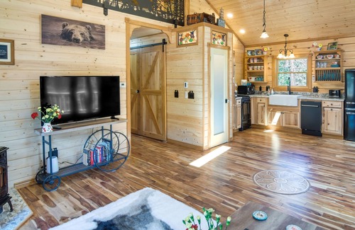 Green Valley Cottage | Conifer Log Cabin Rental w/Private Hot Tub & Pond