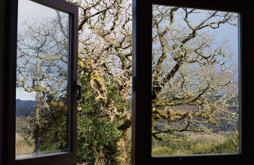 Heligan House | Converted Barn With Exclusive Use of Indoor Private Swimming Pool