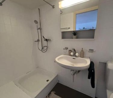 Fribourg Apartment | Cooles Apart an der Kathedrale