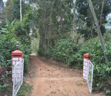 Virarajendrapet House | Coorg klusters estate stay