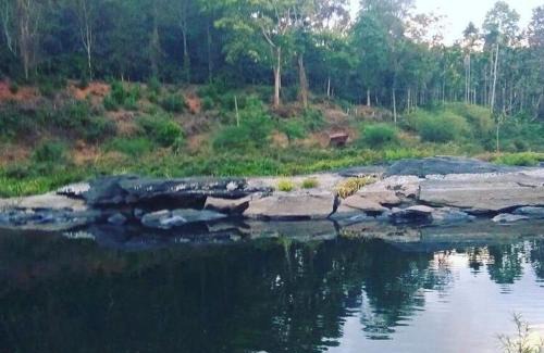 Ontiyangadi House | Coorg -Kunji Phad River View Homestay