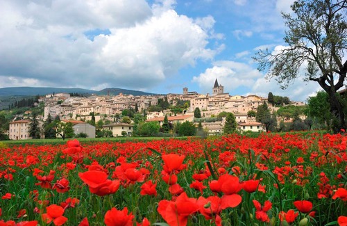 Spello Apartment | Coral Apt City Center
