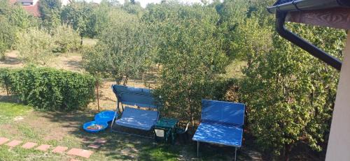 Cornu de Jos House | Cornu Paradise