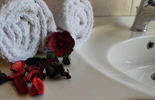 Nord-Est House | Corte Clocego