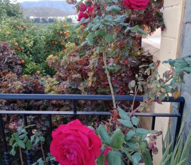 Huercal de Almeria House | Cortijo Paulenca