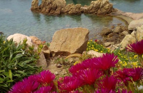 Costa Paradiso House | Costa Paradiso Villaggio Tamerici