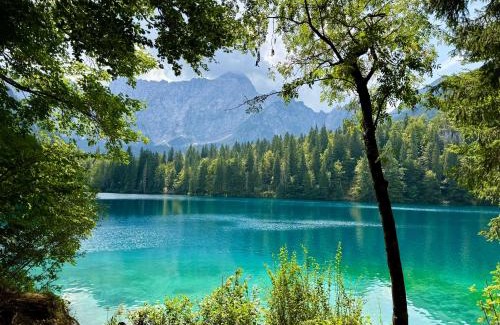 Oberaichwald Apartment | Cosy and Stylish Apartment near Faaker See