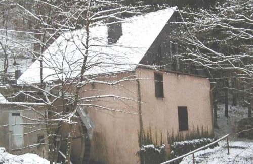 Fronhofen Apartment | Cosy apartment in Kleinich