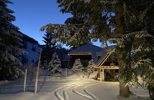 Chateau-d'Oex Ski Chalet | Cosy Chalet in Swiss Alps stunning views 360deg with river below unspoiled area.
