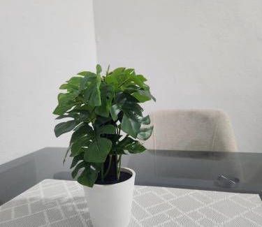 Yaounde Apartment | Cosy - Climatisation - Wi-Fi gratuit