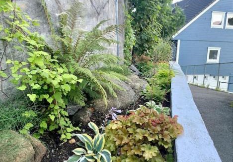 Laksevag House | Cosy house with sunny terrace, garden and fjord view