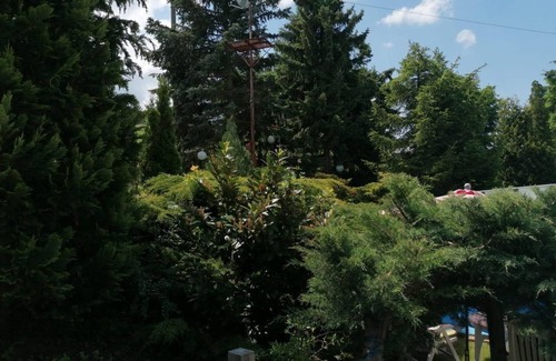 Berggiesshubel House | Cottage in a green idyll - Holiday home, 1 bedroom