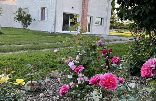 Precieux Cottage | Cottage for 5 in Précieux with terrace and farm animals