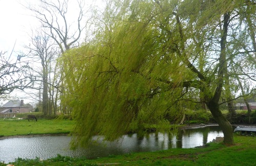 Bennetot Cottage | cottage has Bennetot farm. 35 km of Etretat